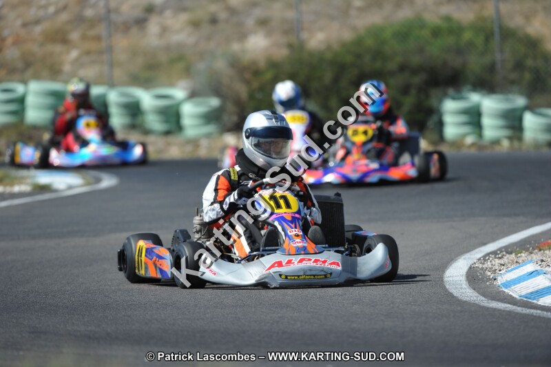 DSC (953).JPG